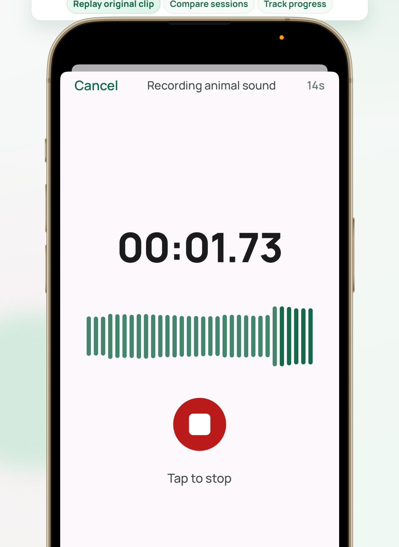 Rawz app clip playback feature